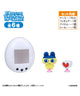 Tamagotchi pitta Vol．1