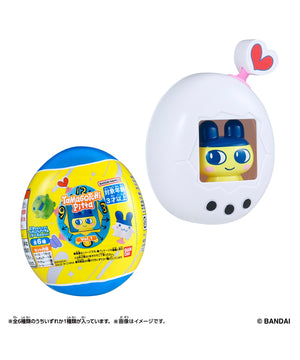Tamagotchi pitta Vol．1