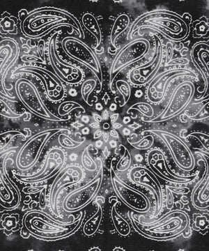 柄1