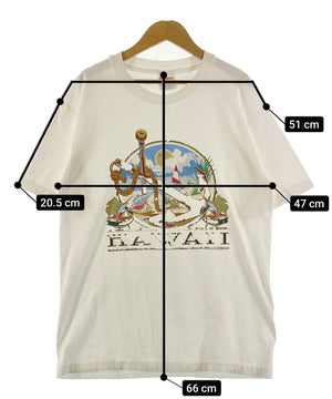 Hanes 90STシャツ