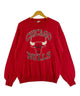 CHICAGO BULLS チームロゴスウェット
