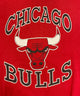 CHICAGO BULLS チームロゴスウェット
