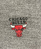 CHICAGO BULLS チームロゴスウェット
