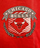 CHICAGO BULLS チームロゴスウェット