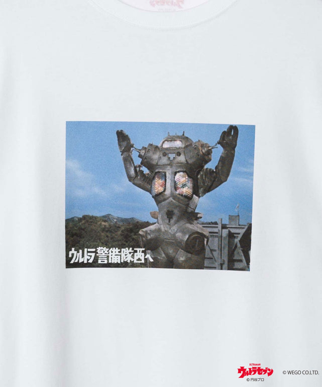 柄13