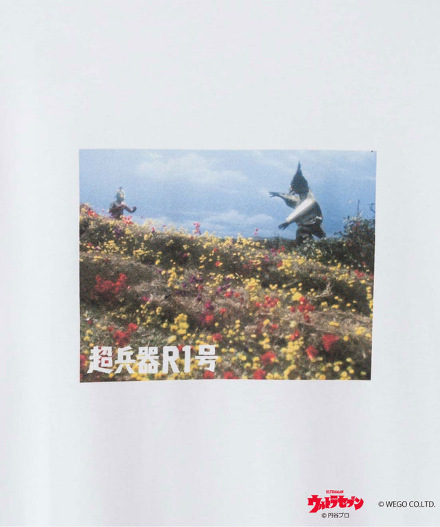 柄24