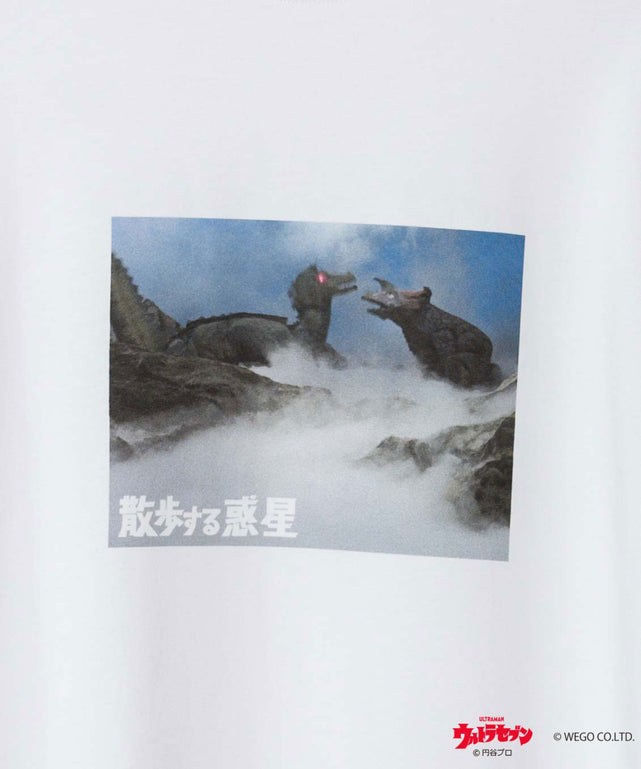 柄30