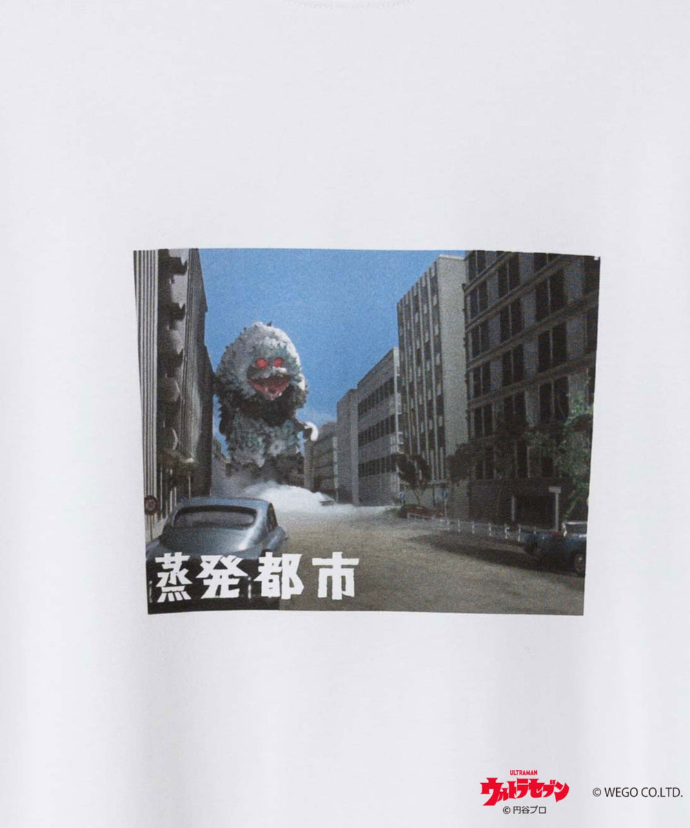 柄32