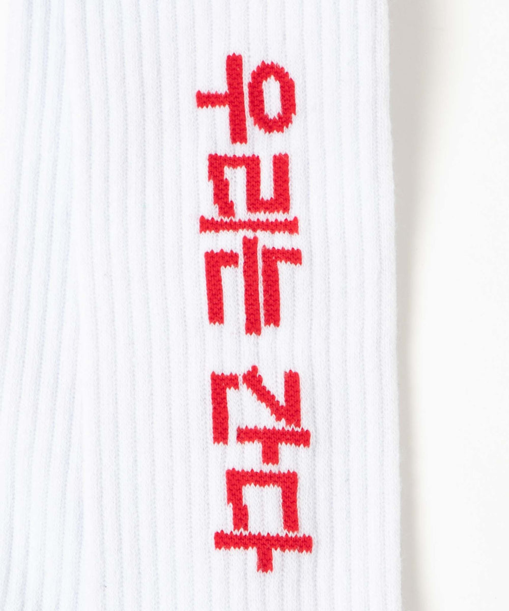 ロゴソックス（R）(25-27cm)