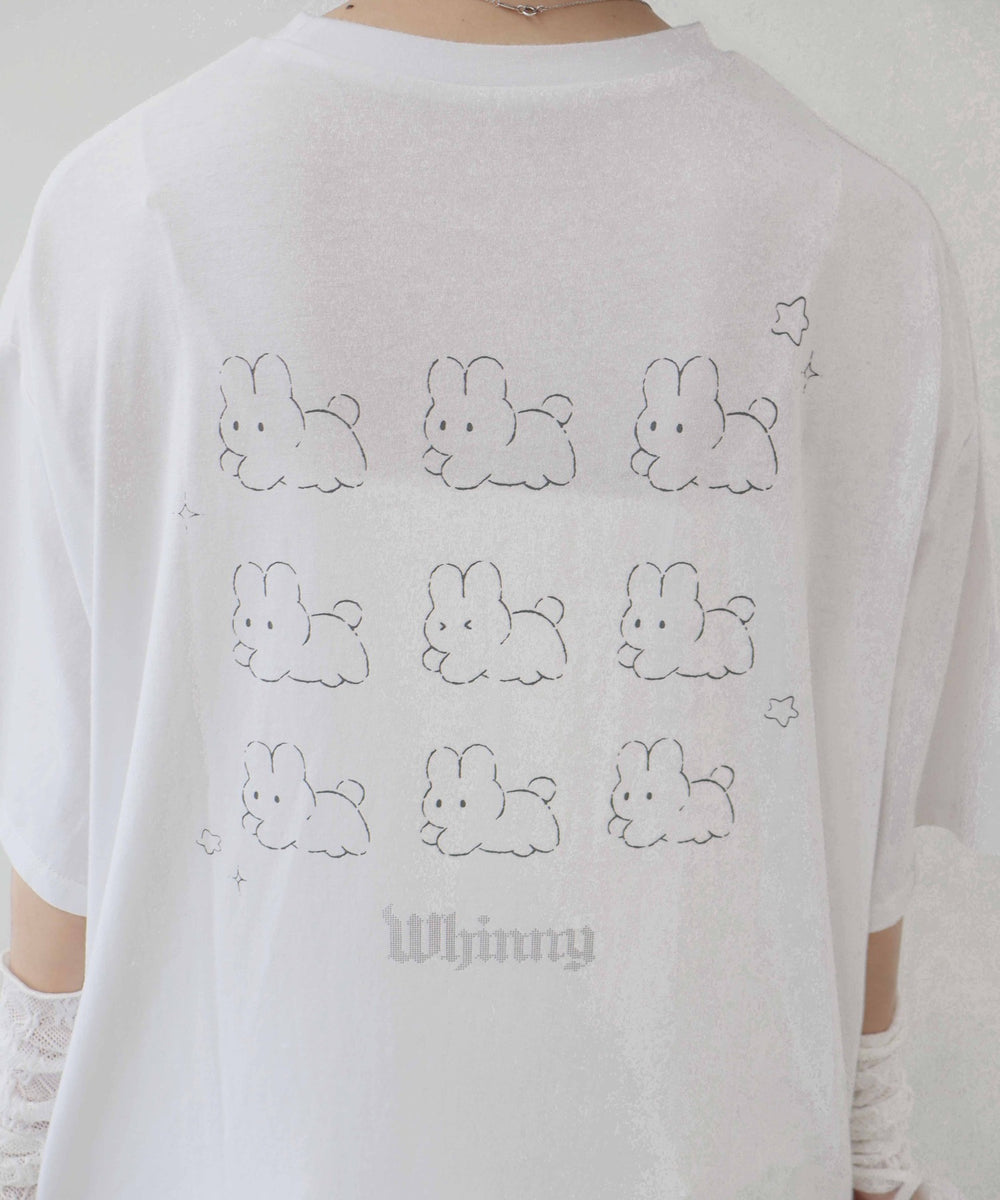 のろまうさぎの大図鑑